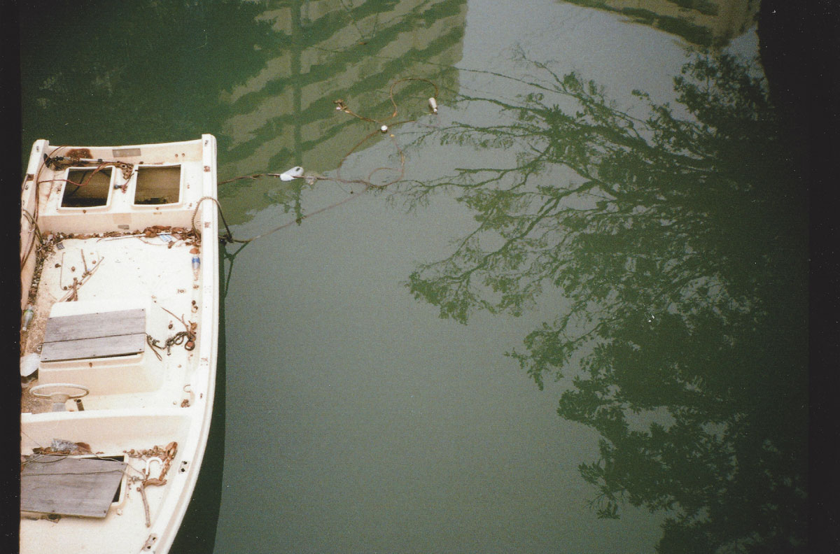 tree shadows on the river